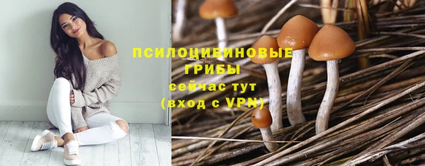 прущий лед Горнозаводск